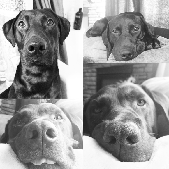 Meet your Posher, Kayla - Picture 4 of 8